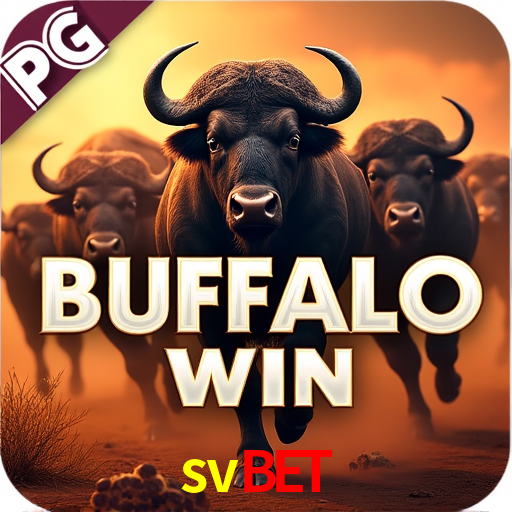 Flash Promotion svbet